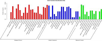 Transcriptome Analysis Provides Insights Into the Adaptive Responses to Hypoxia of a Schizothoracine Fish (Gymnocypris eckloni)